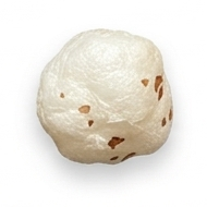 6+ Suta Jumbo Makhana