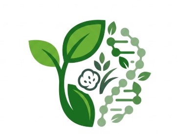 Plant Protein and Energy Popping Makhana